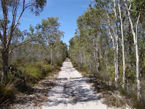 Fire Trail Design, Construction and Maintenance - Fireland Consultancy - Brisbane