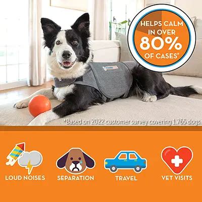 Thundershirt for Dogs Reviews: Do ThunderShirts Really Work?