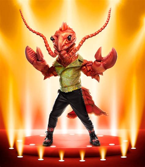 'The Masked Singer' Season 9 Costumes: Meet the Gnome, Lobster, and More 'The Masked Singer ...