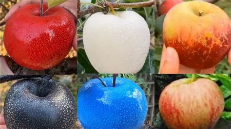 four different types of apples with water droplets on them, and in the middle one there is a ...