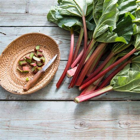 9 Surprising Health Benefits of Rhubarb You Need to Know | Rhubarb ...