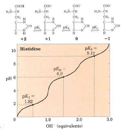 What is the pH of histidine? | Homework.Study.com