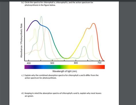 Chlorophyll Absorption Spectrum