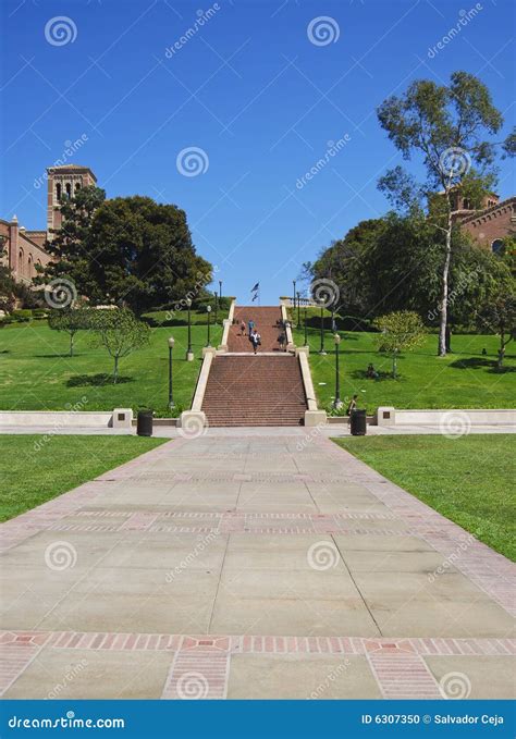 California University Campus Stock Photo - Image of campus, higher: 6307350