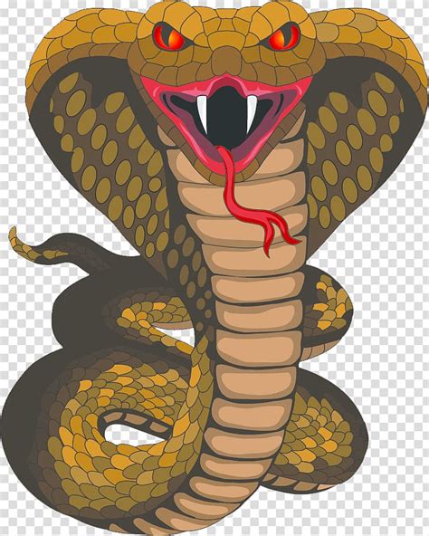 Cobra clipart python snake, Cobra python snake Transparent FREE for download on WebStockReview 2024