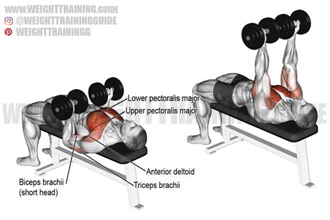 Reverse-grip dumbbell bench press exercise instructions and video