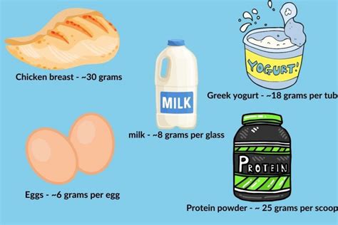 What Is The Best Protein Drink For Elderly People 2023- Wise Fitness ...