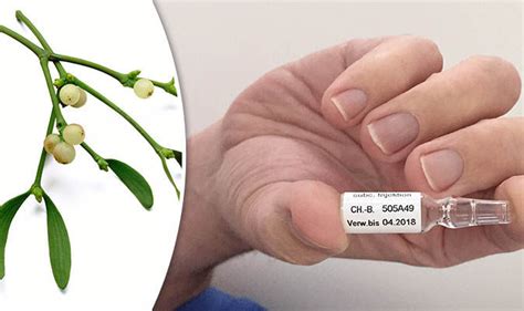 Cancer cure found in mistletoe, extract injections removed deadly ...