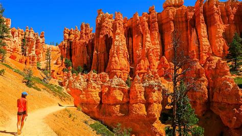 Bryce & Zion National Parks Tour from Las Vegas with Lunch