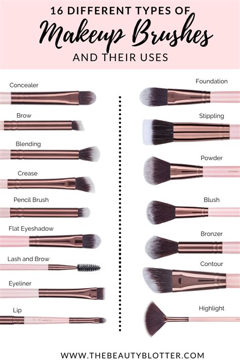 THE COMPLETE LIST OF MAKEUP BRUSHES AND THEIR USES | The Beauty Blotter