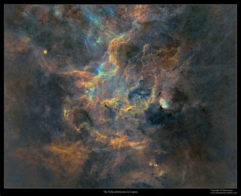 Astro Anarchy: The Tulip nebula in cygnus, Sh2-101