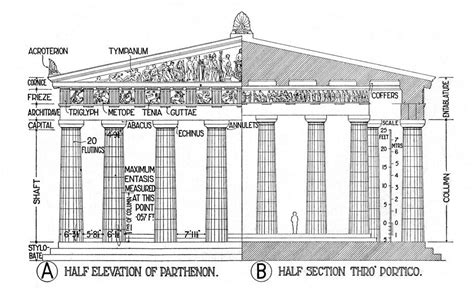 Parthenon: reconstruction elevation and section | Title: Par… | Flickr ...