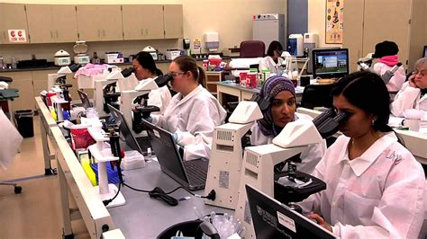 Medical Laboratory Technician Online Programs Medicine - Medicine Choices