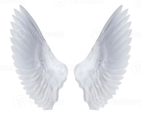 white angel wings. 21887869 PNG