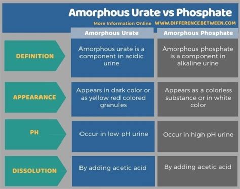 Difference Between Amorphous Urate and Phosphate | Compare the Difference Between Similar Terms