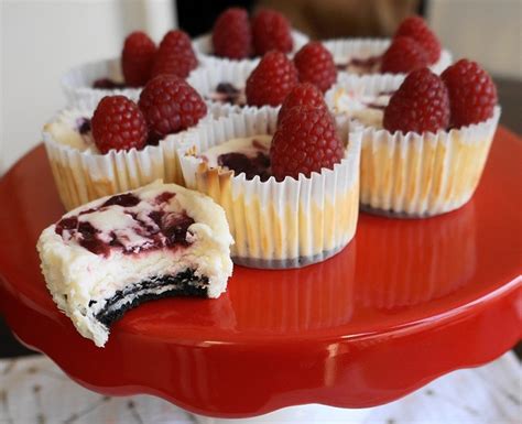 Chocolate Raspberry Swirl Cheesecake Cupcakes