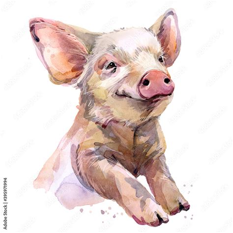 Cute pig watercolor illustration. baby animals series Stock ...