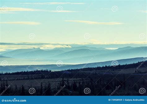 Polar tundra stock image. Image of environment, hill - 73958959