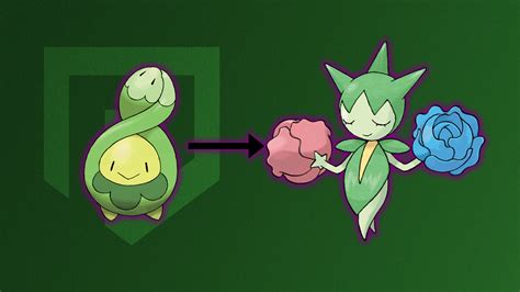 Budew evolution guide