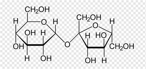 Sucrose Structural formula Molecule Fructose Molecular model, small intestine, angle, white ...