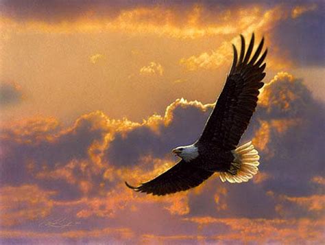 soaring-eagle-oil-painting-animal-oil-painting | Messiah Lutheran Church