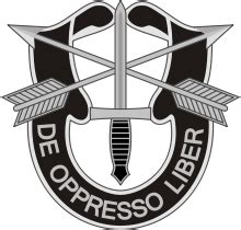 Joining the Military: US Special Forces Names and Duties