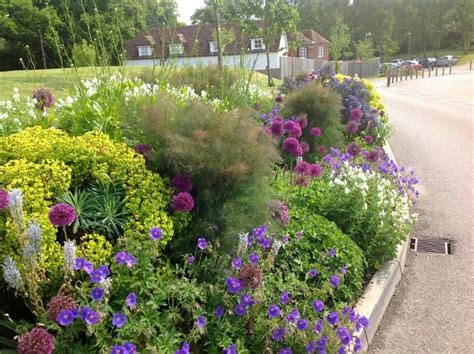 Mixed borders | Part sun perennials, Perennials, Garden design