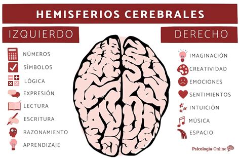 Cuadro Comparativo sobre los Hemisferios cerebrales - Cuadro Comparativo