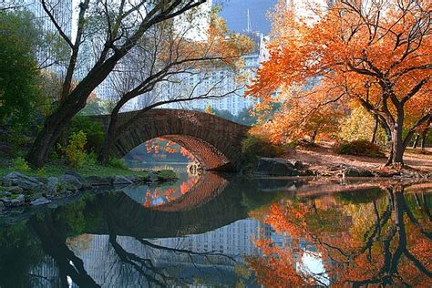 Gapstow Bridge, Fall – Image Conscious Licensing