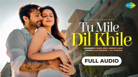 Tu Mile Dil Khile | Full Audio Song | Stebin Ben | Asees Kaur | Larissa B | Lijo G-Dj Chetas ...