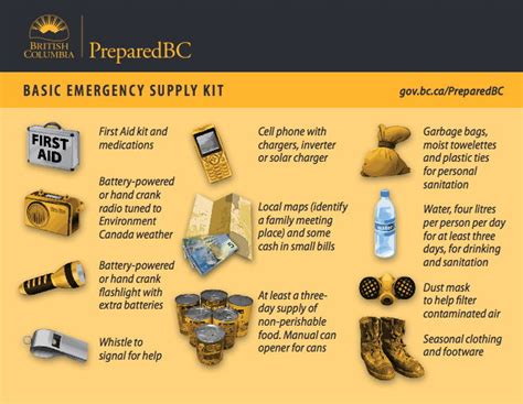 Your emergency preparedness kit: Essential items for a range of ...