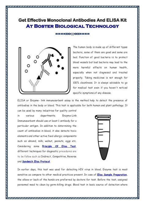 What Is The ELISA Test And Its Procedure?