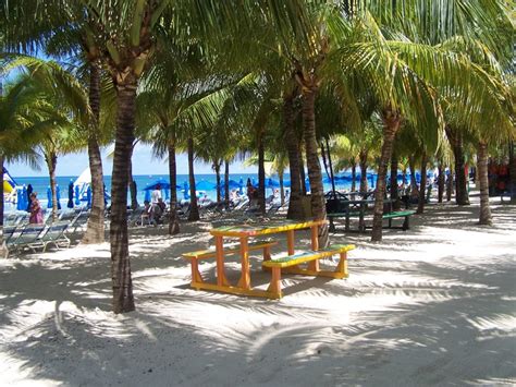 Cozumel- Paradise beach | Beach paradise, April vacation, Cozumel