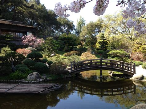 Japanese Festival returns to gorgeous Hakone Gardens - Arts Scene