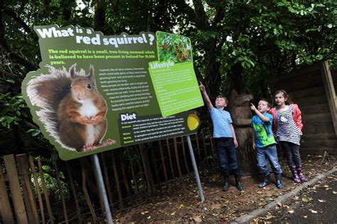 Belfast Zoo - ZooBorns