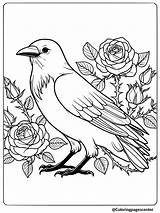 11 Cute Bird Coloring Pages  Free Printable PDFs sketch template