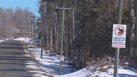 NB Power list shows areas most vulnerable to outages | CBC News