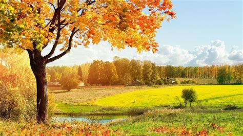 Fall Landscape Wallpapers - Wallpaper Cave