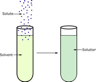 Water Potential | Definition, Formula & Measurement | Study.com