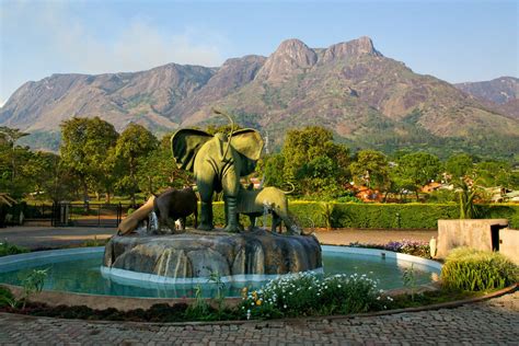 Magnificent Mulanje Mountain and Tea Estates