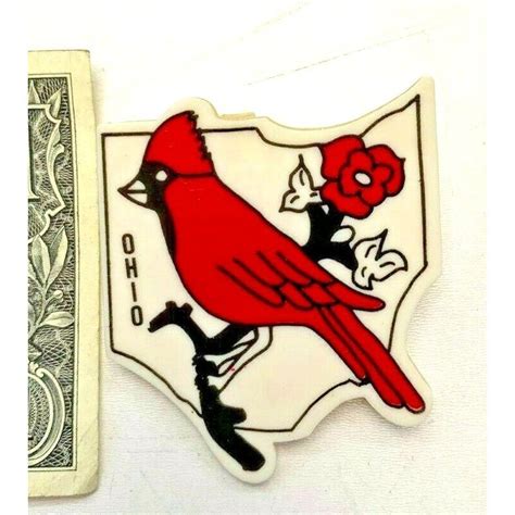 Vintage Ohio State Bird Cardinal Map of Ohio Pin Pinback Swag - Etsy