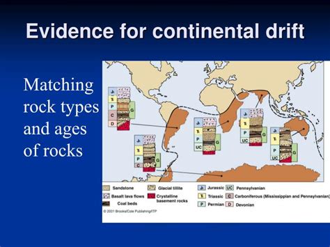 Fossils: Fossils Evidence Of Continental Drift