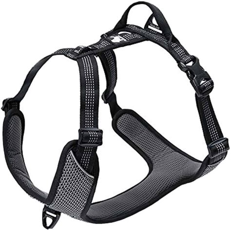 6 Best Small Dog Harness Options (2021 Buyers Guide) - gentledogtrainers.com.au