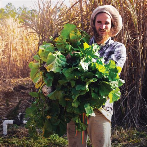 Climate Farming Practices – Mother Earth News