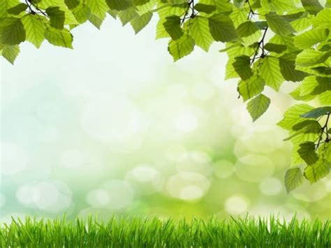 Beautiful green grass PowerPoint background. Available in 960x720, this Pow… | Green grass ...