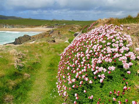 View Clogher Beach Photograph by Barbara Walsh - Fine Art America