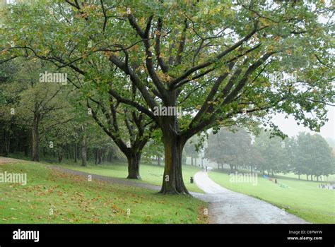 Great Britain, Wales, Pontypool, Pontypool Park Stock Photo - Alamy