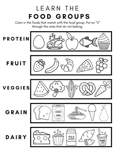 Learn the Food Groups Child Nutrition Education Handout Dietitian Teacher - Etsy