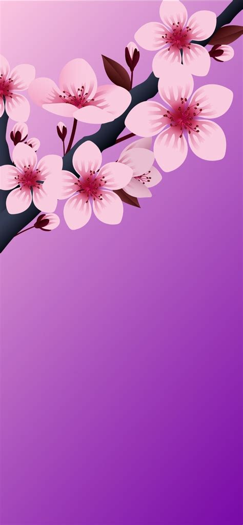 Phone Wallpaper Design, Iphone Wallpaper, Wallpaper Designs, Flowery ...