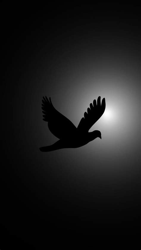 Flying Bird, animal, black, dark, nature, HD phone wallpaper | Peakpx